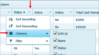 Show/Hide Columns